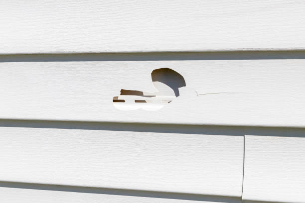 Best Engineered Wood Siding  in Bakersfield, CA
